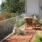 House By The Sea Vakantiehuis Podaca