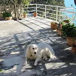 House By The Sea Vakantiehuis *