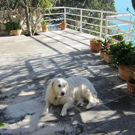House By The Sea Holiday home *
